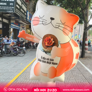 RỐI HƠI VẪY TAY MÈO CAM