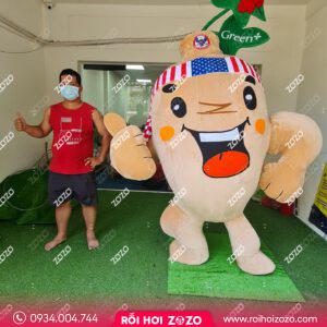 Mô hình khung xốp củ sâm