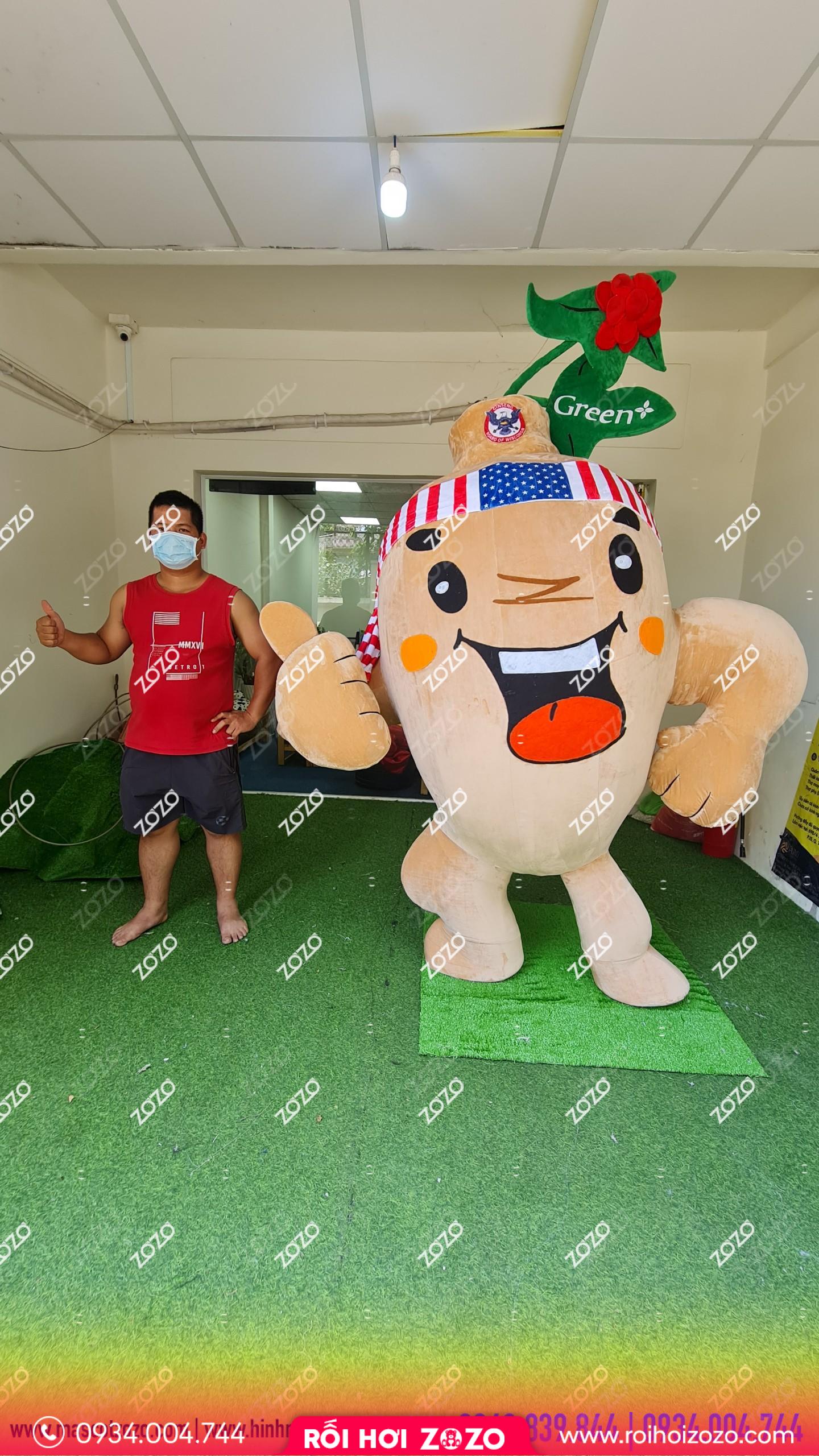 Mô hình khung xốp củ sâm